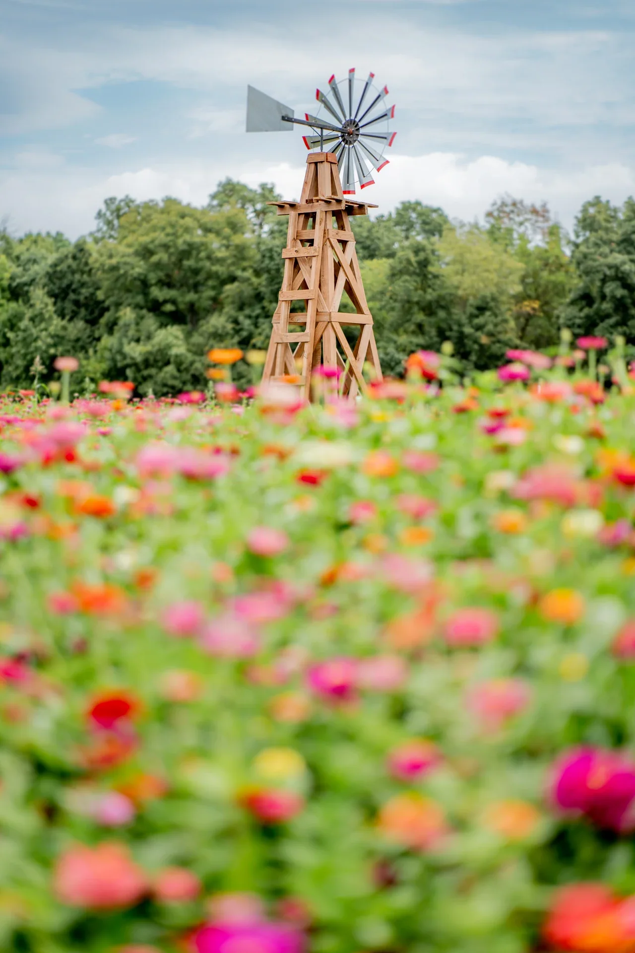 A small windmill rising above a field of colorful flowers