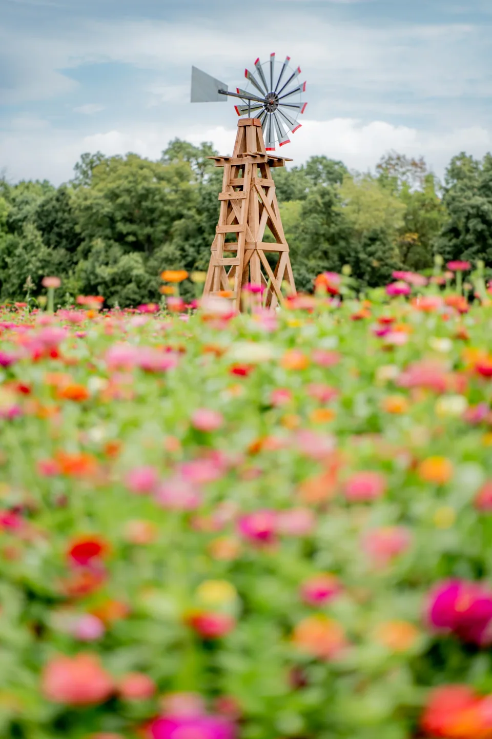 A small windmill rising above a field of colorful flowers