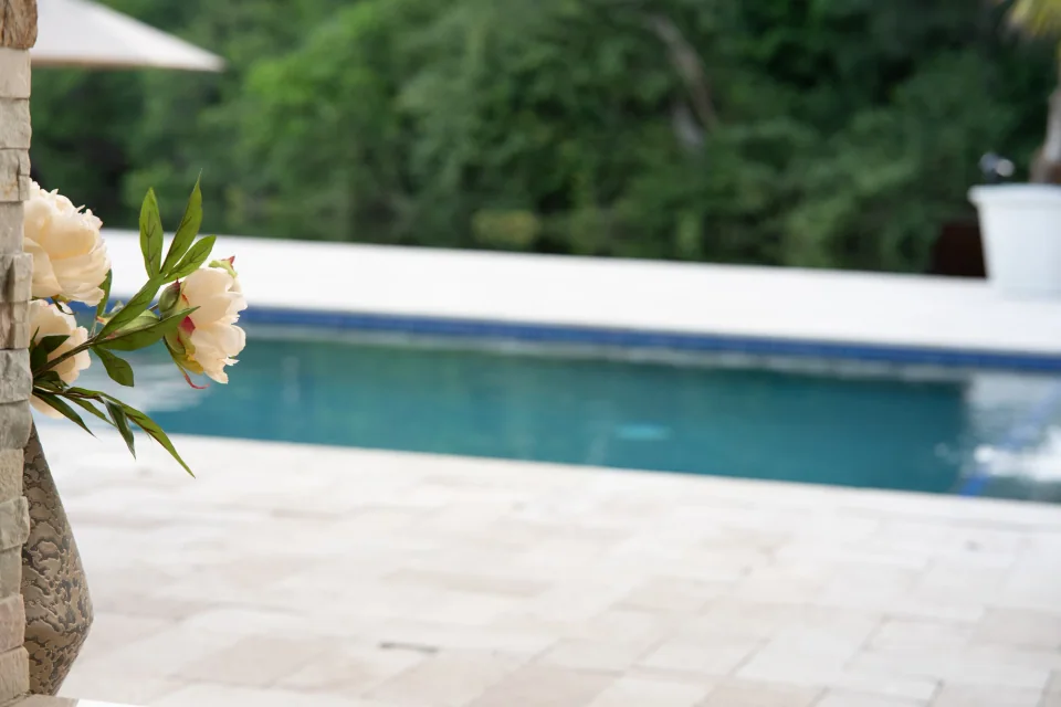 White flowers in sharp focus beside a pool with trees softly blurred behind them