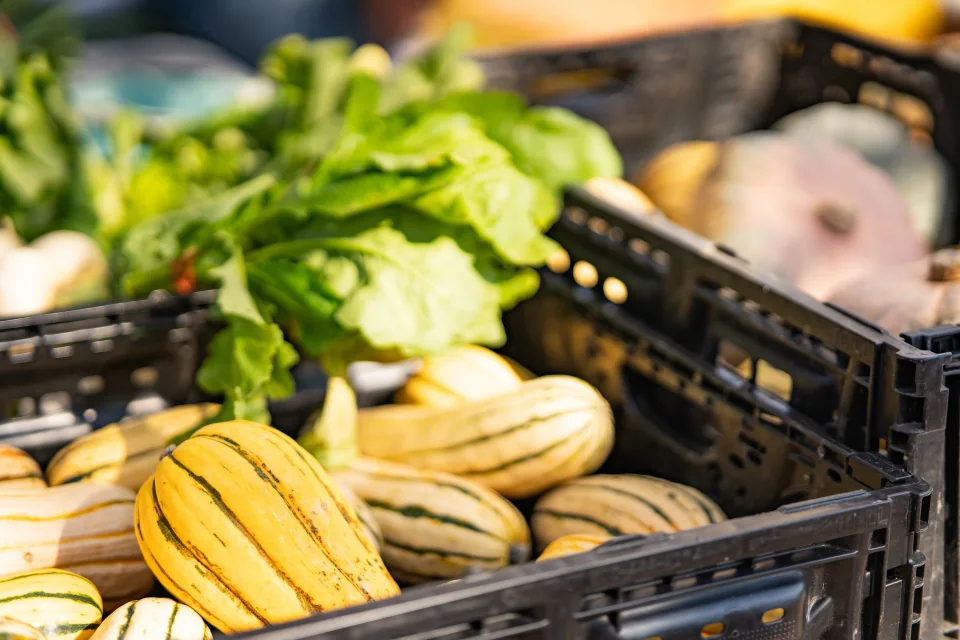 Yellow squash, leafy greens and other vegetables displayed in market crates